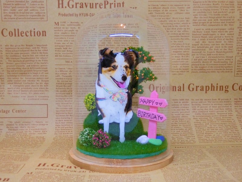 定制宠物玻璃罩 - 摆饰 - 玻璃 橘色