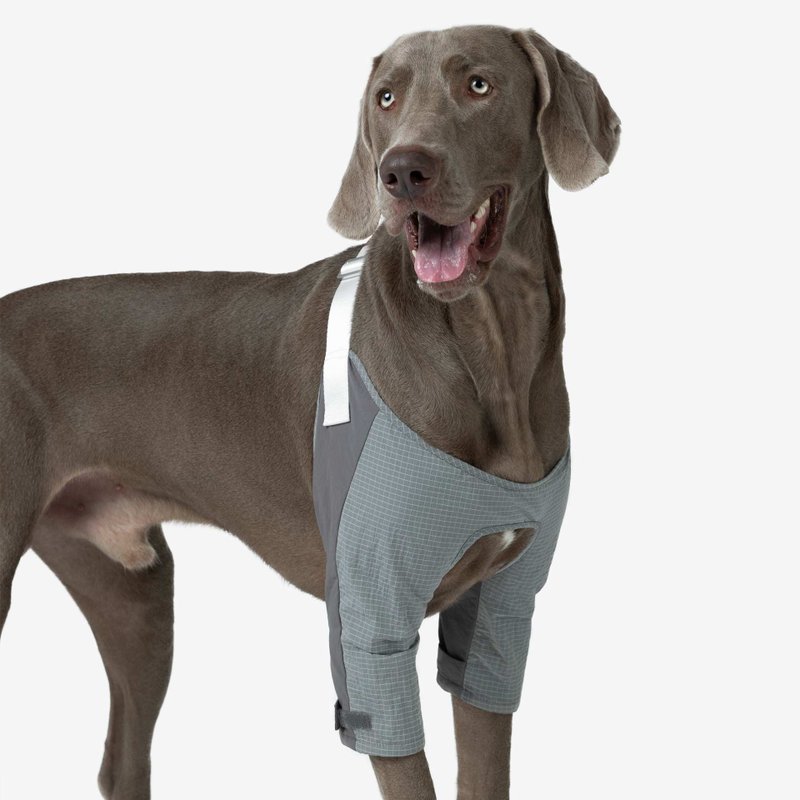 bump up【Elbow Pad】宠物狗狗中大型犬护肘衣服时尚轻薄透气 - 衣/帽 - 尼龙 灰色