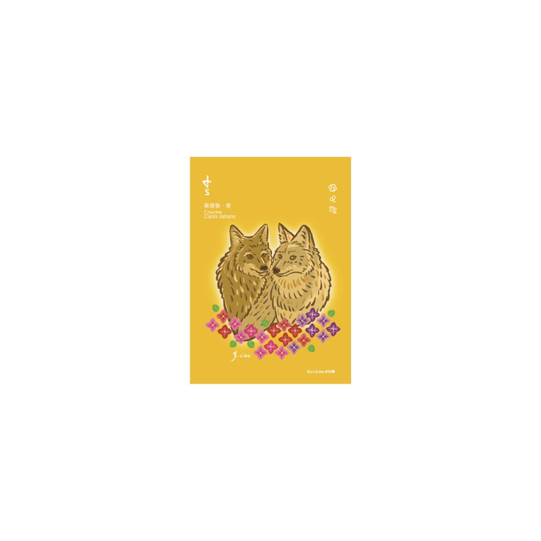 草原狼药轮南方明信片 - 卡片/明信片 - 纸 