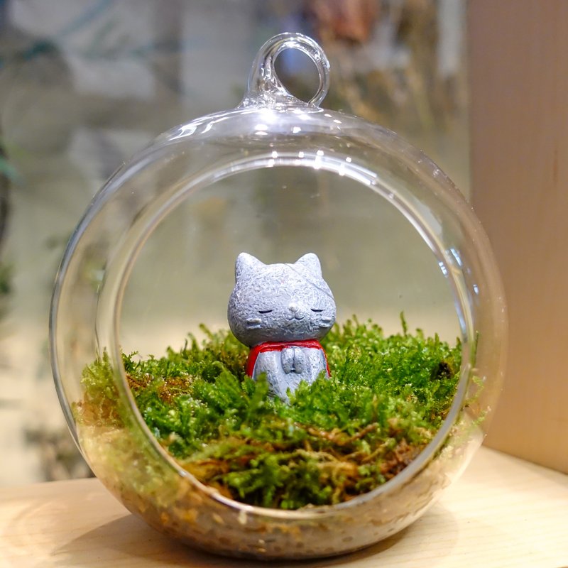 玻璃扭蛋与苔藓 中球球 - 植栽 - 玻璃 绿色