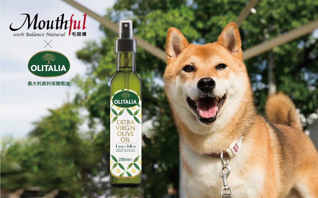 柴犬大学X奥利塔  特级初榨橄榄油 喷头设计 宠物专用 保健品 - 其他 - 玻璃 