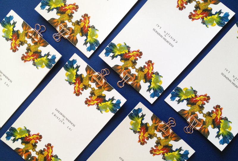 GOLDFiSH MADNESS CALENDAR 2018 - 年历/台历 - 纸 多色