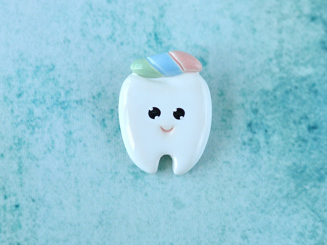 Ceramic tooth pin brooch - 胸针 - 陶 白色