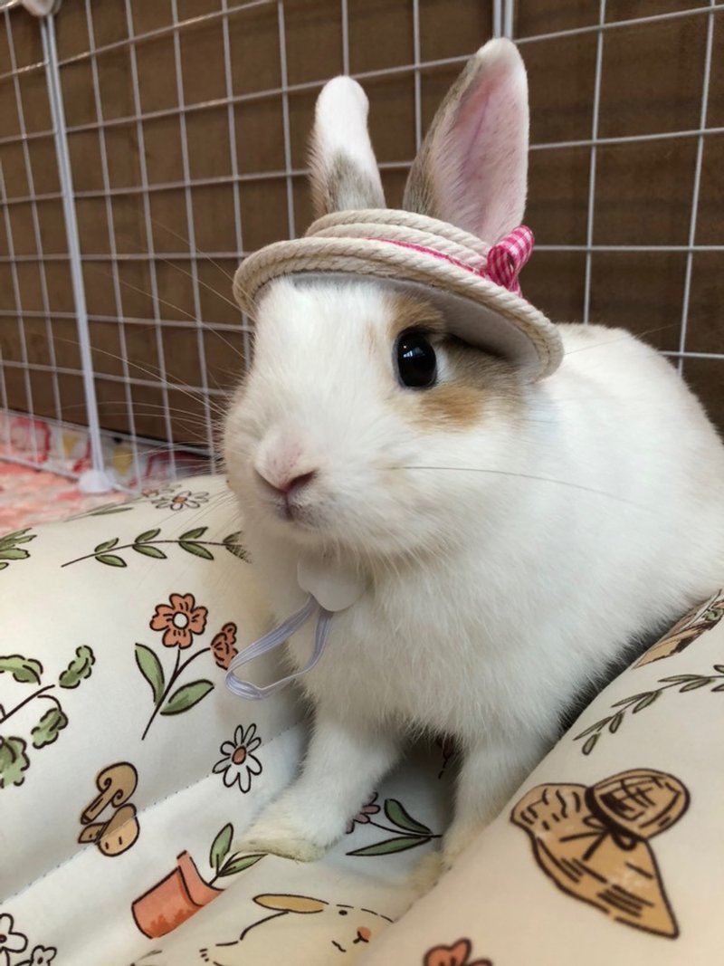 Q2-手工宠物生日帽子宠物发饰头套兔兔牵绳衣配件兔子花圈-仿草帽 - 项圈/牵绳 - 其他材质 多色