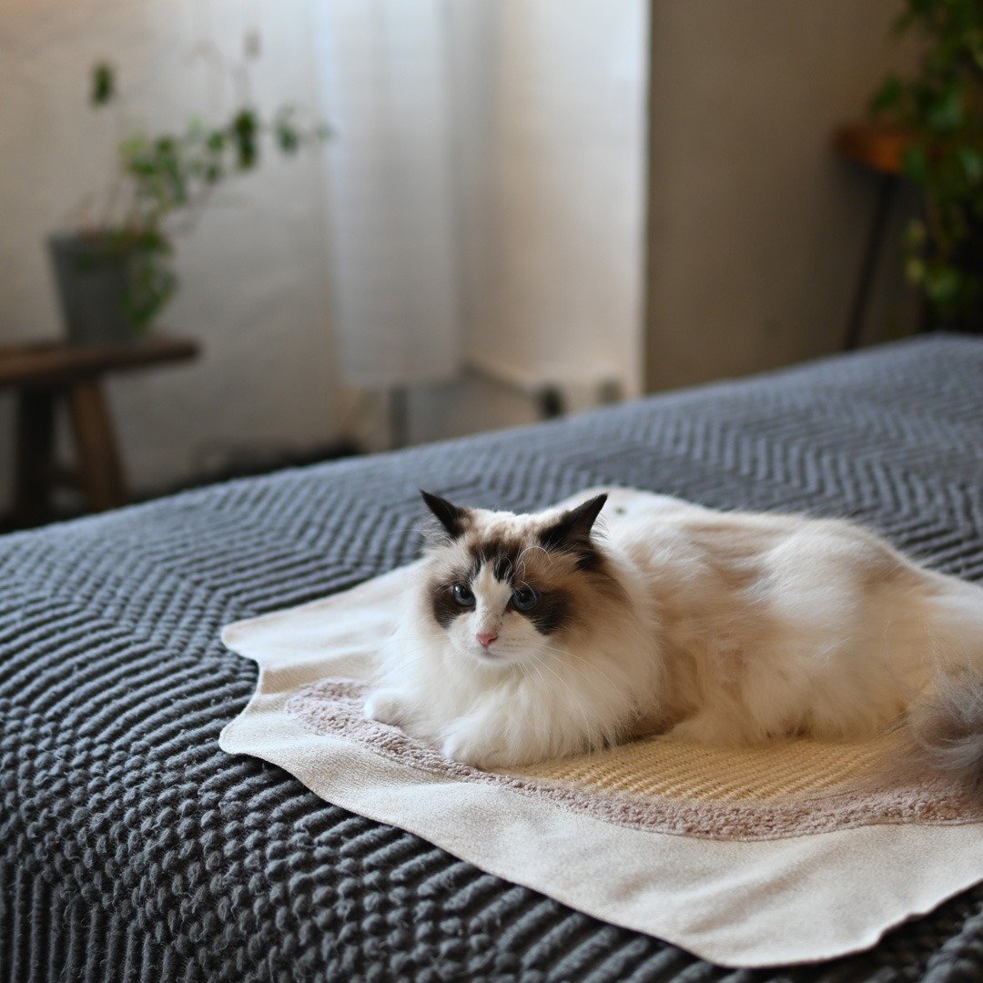 Sofe 剑麻猫抓垫 - 其他 - 其他材质 