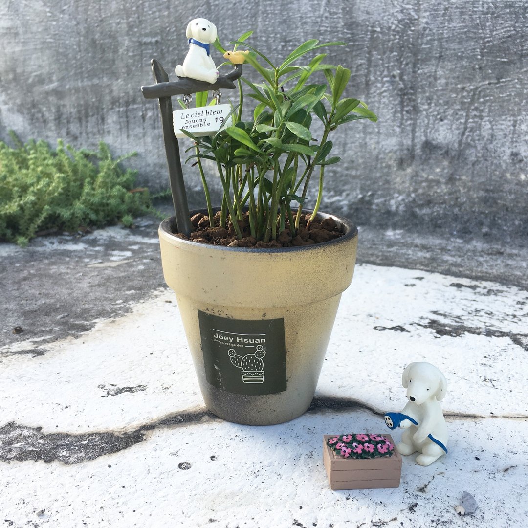 清新小品植栽组-小狗与好友的午后时光【Fresh &amp; Minty &amp; Frisky - 植栽/盆栽 - 陶 黄色