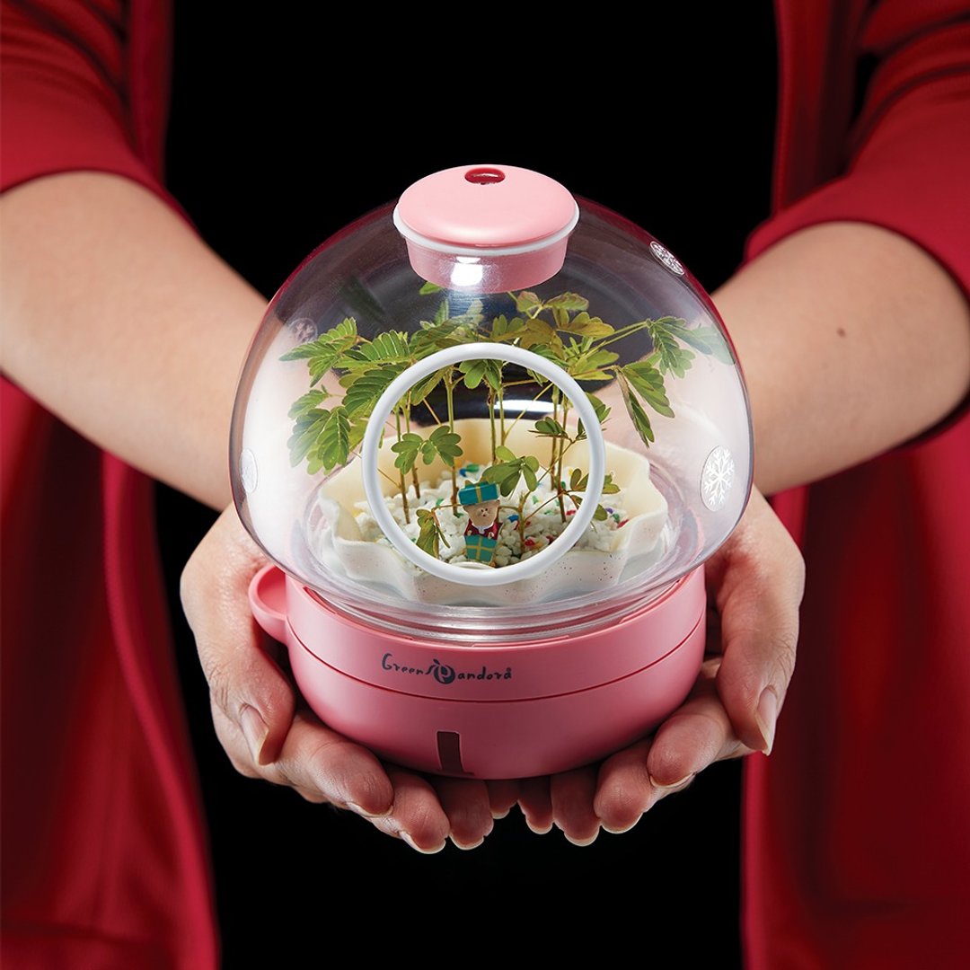 圣诞礼物 交换礼物 创意礼品 疗愈植栽灯 桌上盆栽 办公室必备 - 植栽/盆栽 - 纸 多色