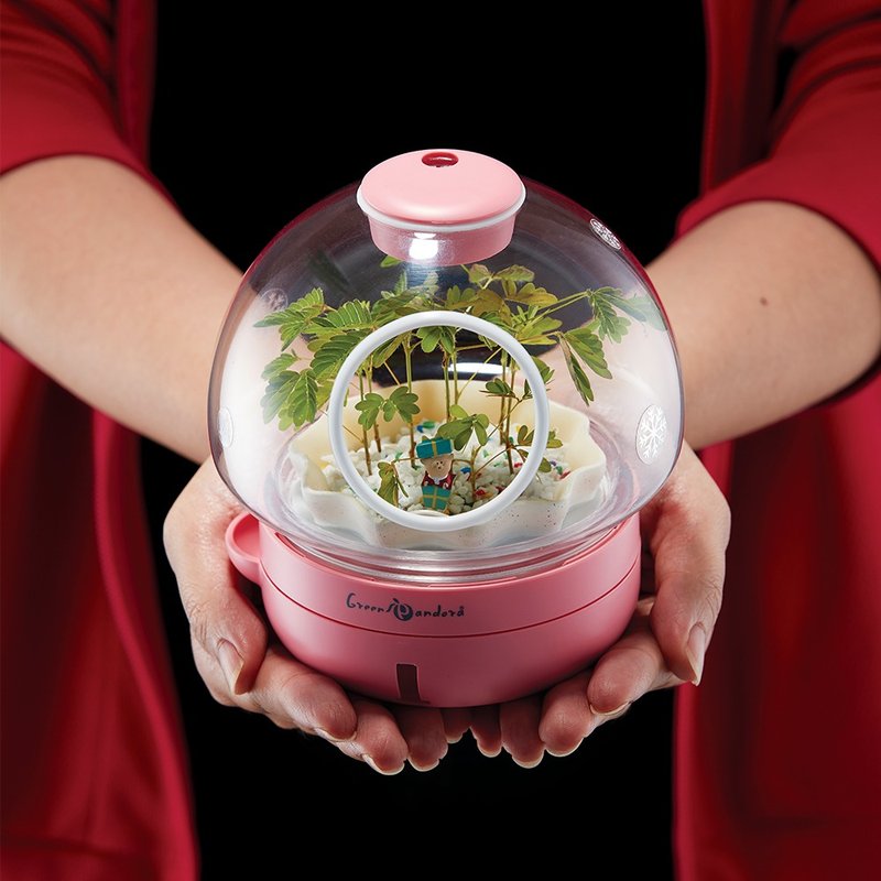 圣诞礼物 交换礼物 创意礼品 疗愈植栽灯 桌上盆栽 办公室必备 - 植栽/盆栽 - 纸 多色