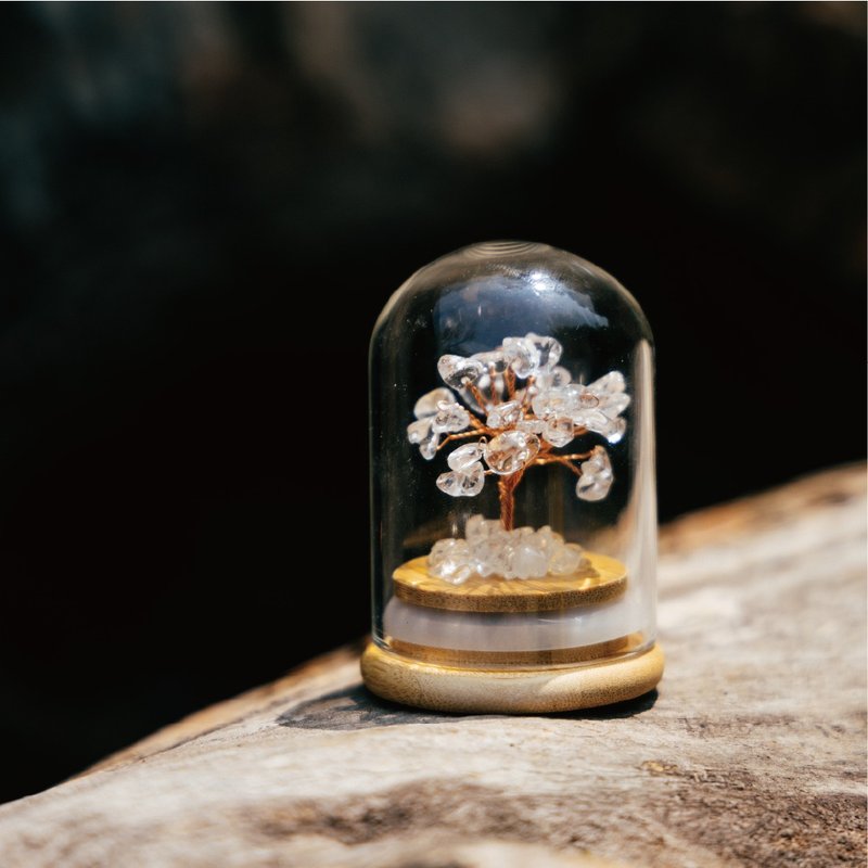 【Montagne】Preserved | 白水晶树 | 全效。扩大 水晶 - 摆饰 - 水晶 