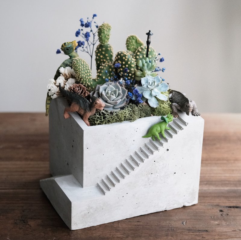 多肉植物 阶梯水泥盆栽 多肉 仙人掌 水泥盆栽组 DIY 材料包 - 植栽 - 水泥 绿色