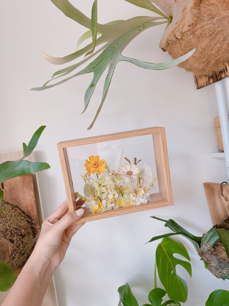 逗留- 迷人小雏菊永生花 干燥花 教师节定制化礼物 - 植栽 - 植物．花 橘色