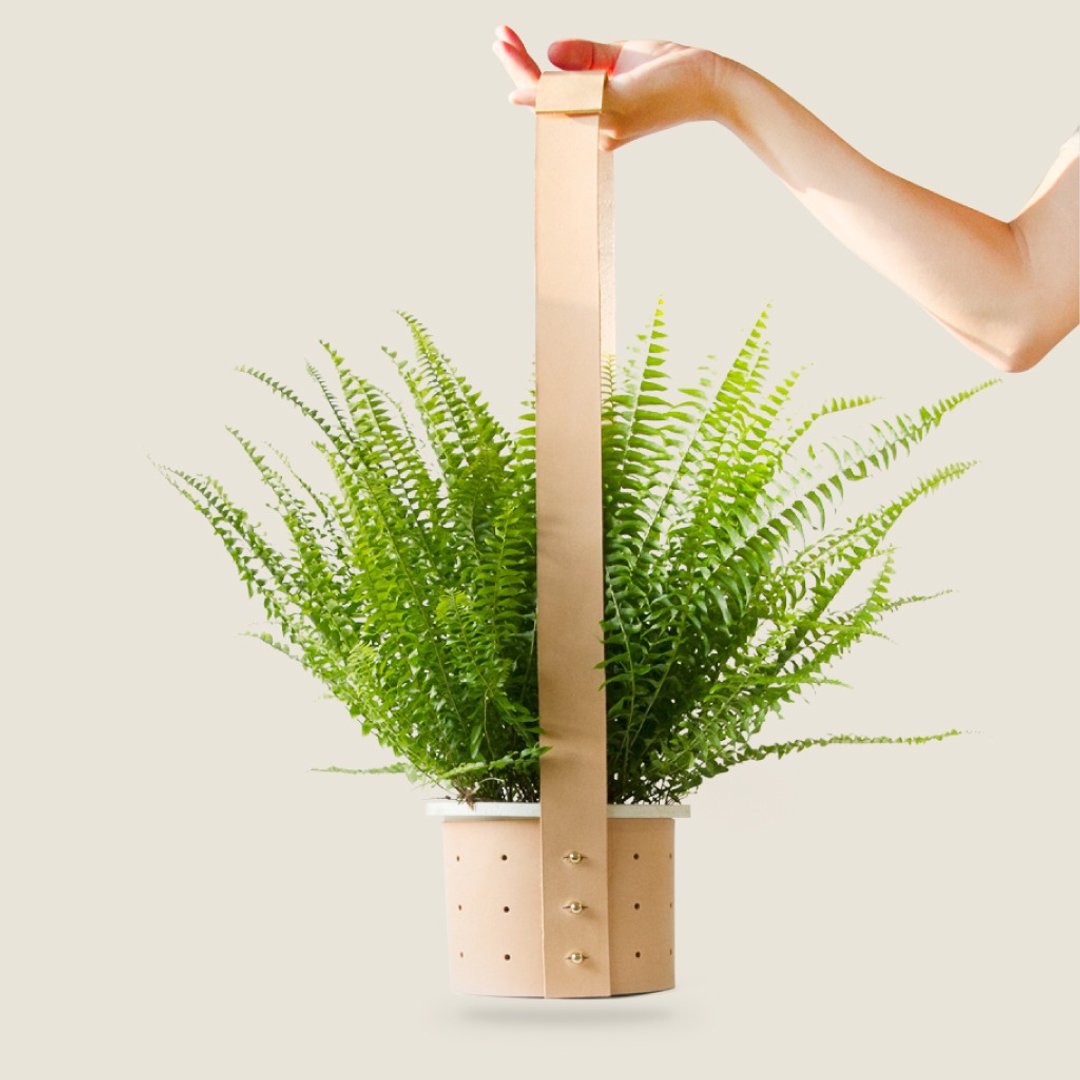 防疫宅在家区/展示8折 / DOT 挂饰盆栽 // 5~6寸盆 //吊挂植物 - 植栽/盆栽 - 真皮 黑色