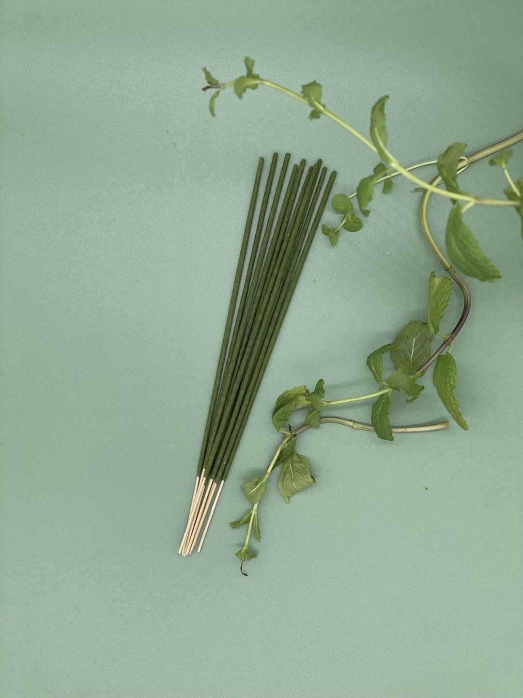 PYBC经典线香-DREAM GARDEN NO.1464 (PYBC.LIFE) - 香薰/精油/线香 - 精油 