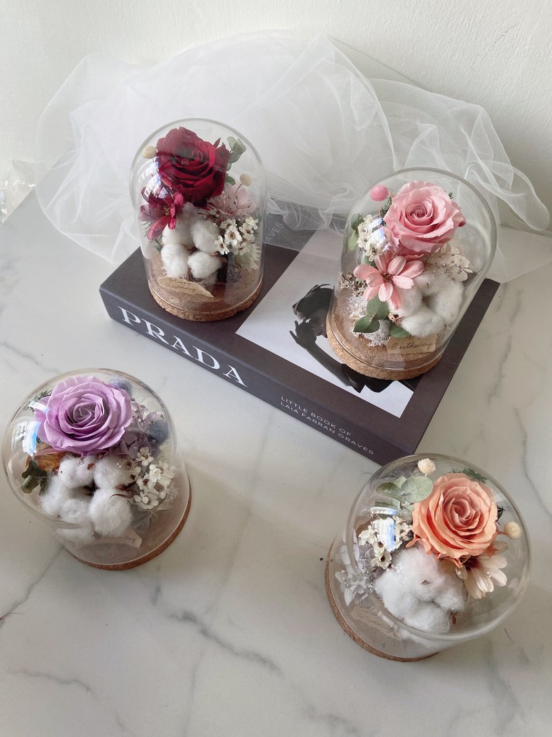 永生花玻璃花盅  情人节礼物 生日礼物 - 干燥花/捧花 - 植物．花 多色