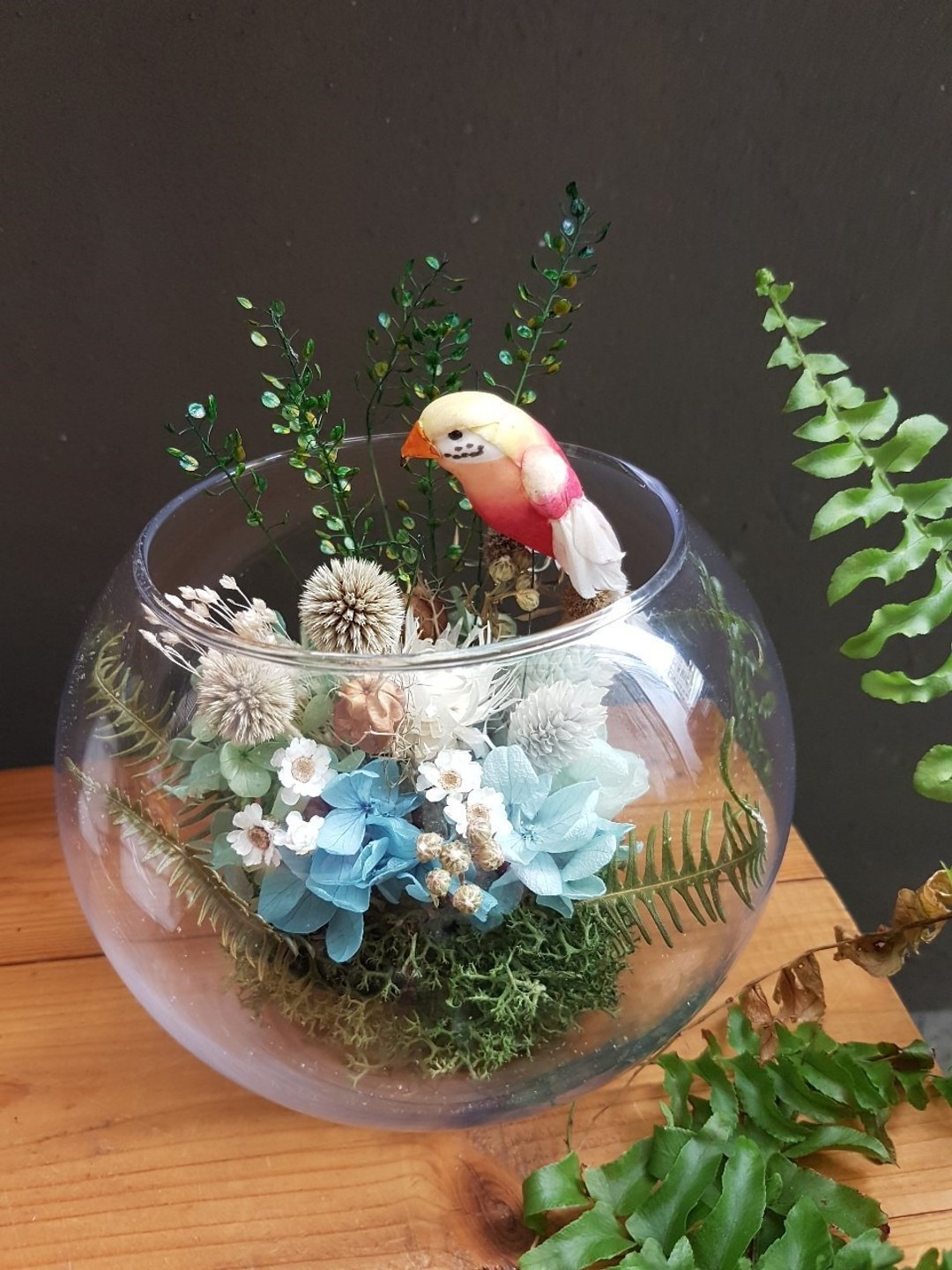 海藏设计│Rainforest 热带雨林玻璃球。干燥花玻璃。开幕花礼 - 植栽/盆栽 - 植物．花 绿色