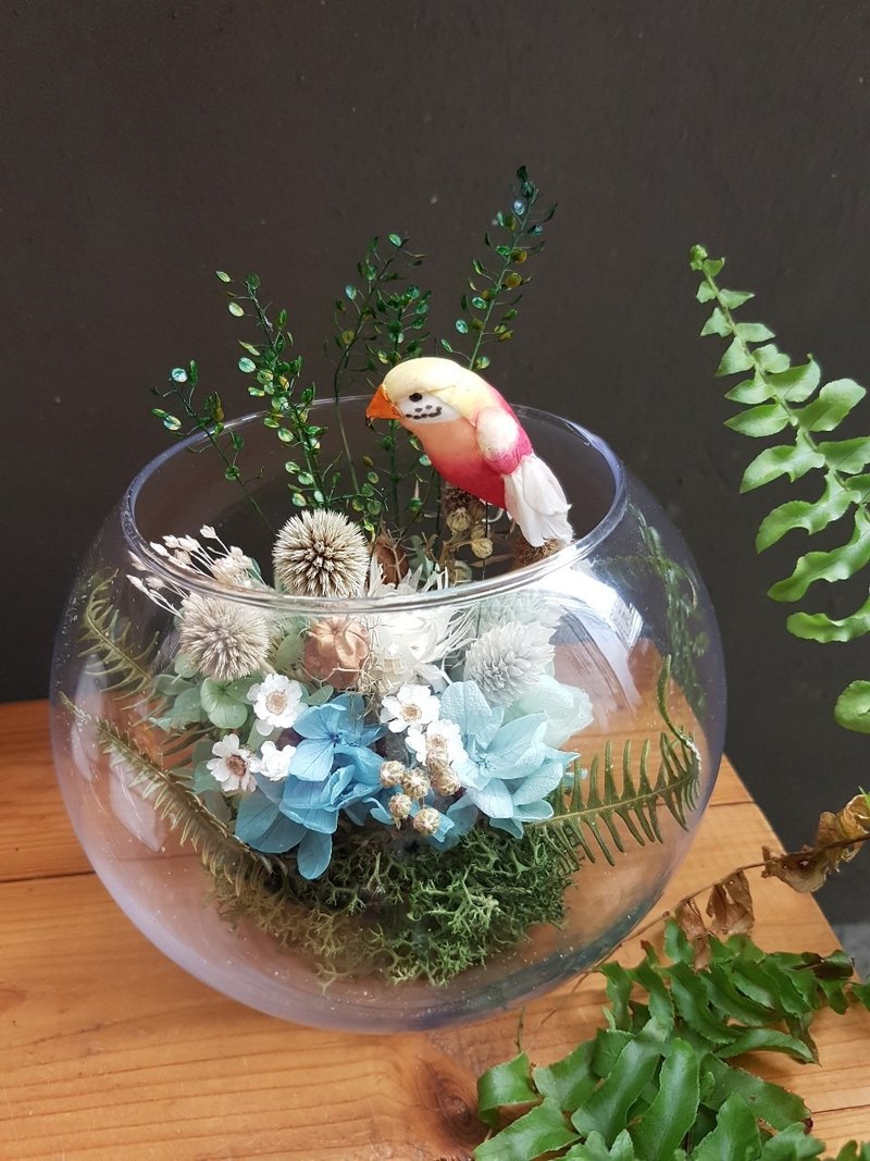 海藏设计│Rainforest 热带雨林玻璃球。干燥花玻璃。开幕花礼 - 植栽/盆栽 - 植物．花 绿色