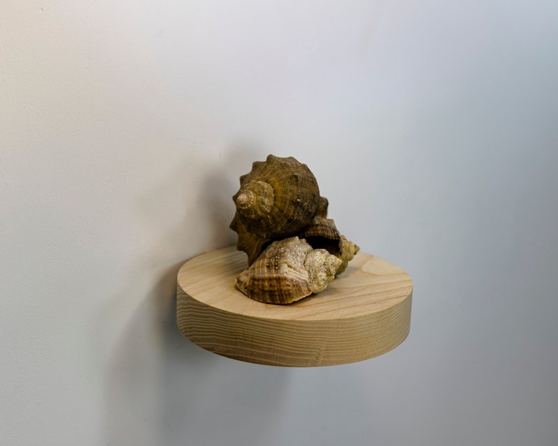 Wood shelf, wall décor, floating shelf, small shelf, wall plant holder, collecti - 置物架/篮子 - 木头 