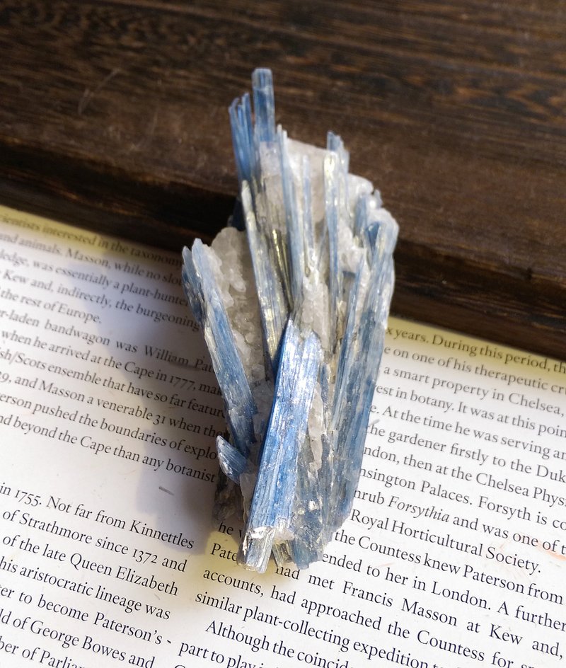 Kyanite 巴西产地 蓝晶石 石英共生矿 天然矿石 原矿 - 摆饰 - 其他材质 