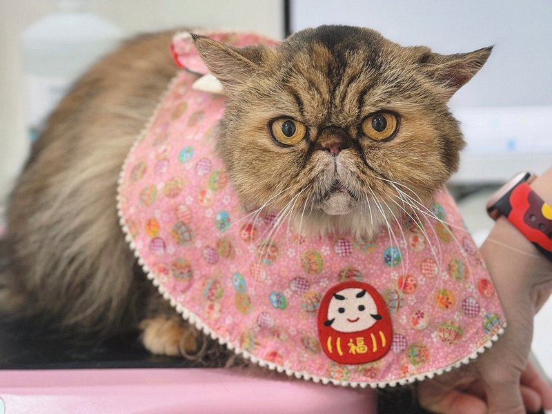 日本金线绣球布料图形口水肩 猫狗项圈 - 衣/帽 - 棉．麻 粉红色
