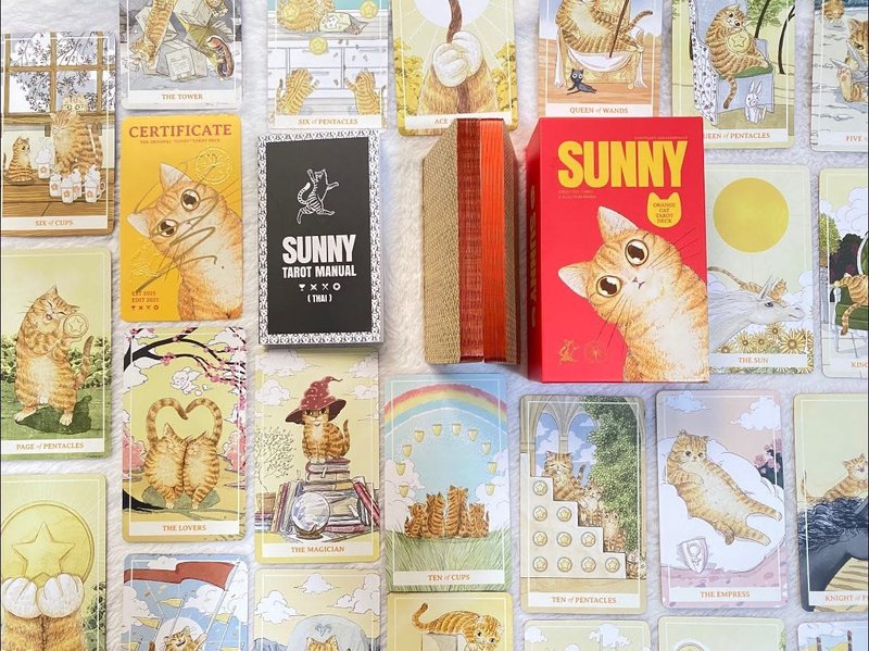 Sunny Orange Cat 橘猫 (黄猫)塔罗牌 78 张 - 卡片/明信片 - 纸 橘色