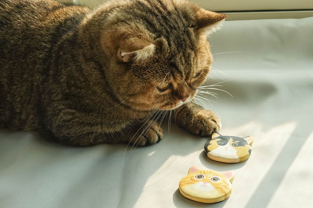 【可定制】手捏黏土手绘猫咪磁铁/冰箱贴 - 其他 - 粘土 多色