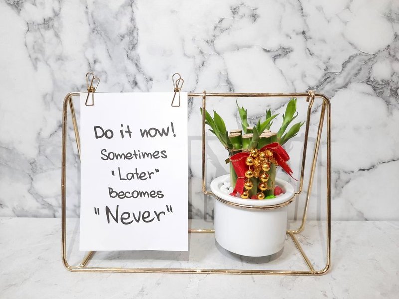 英文秋千款 开运竹 万年青 开幕精致贺礼 居家摆件 节庆礼品 - 植栽/盆栽 - 其他金属 黑色