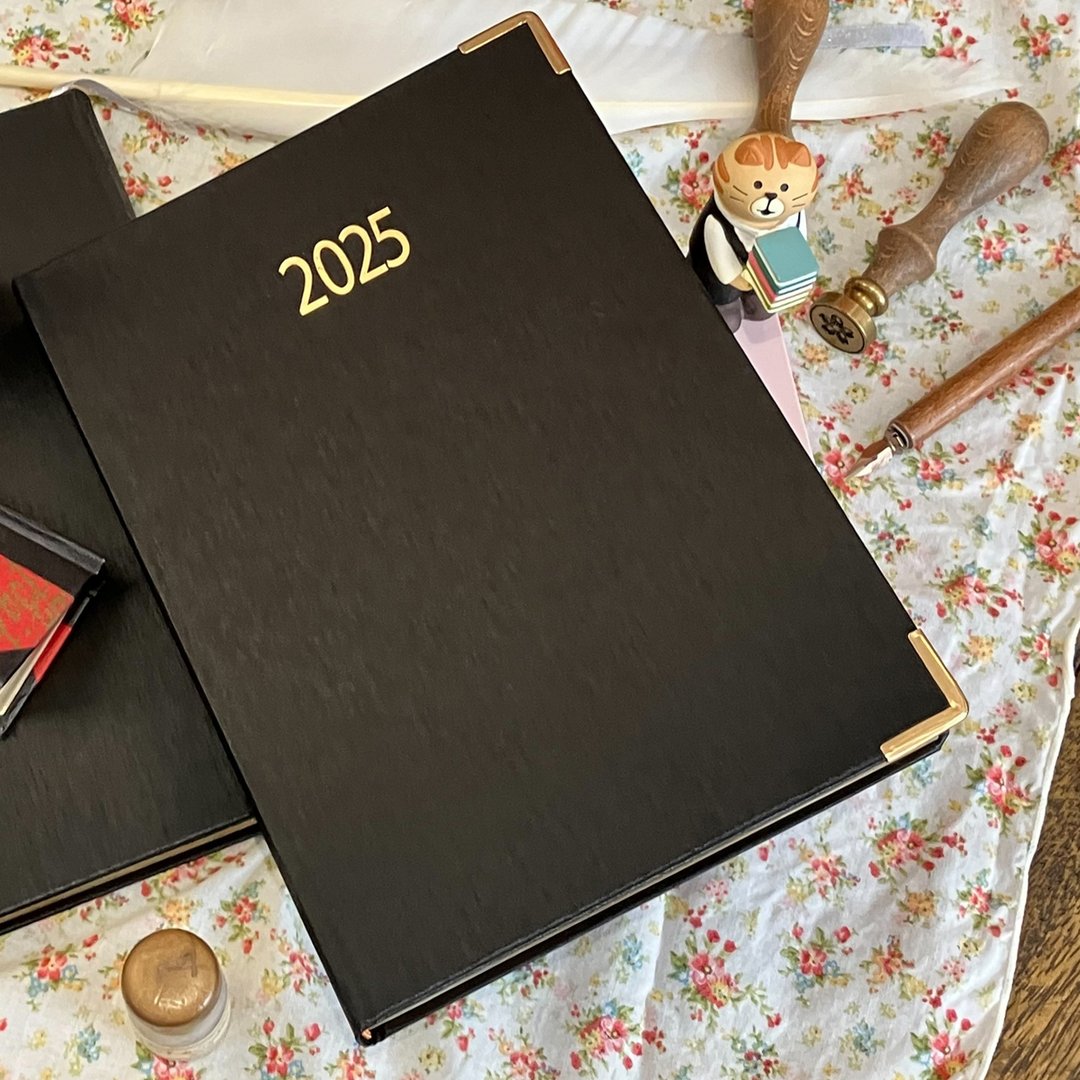 2025 Professional Diary  年度日志本 │纪录生活的美好时光 - 笔记本/手帐 - 纸 