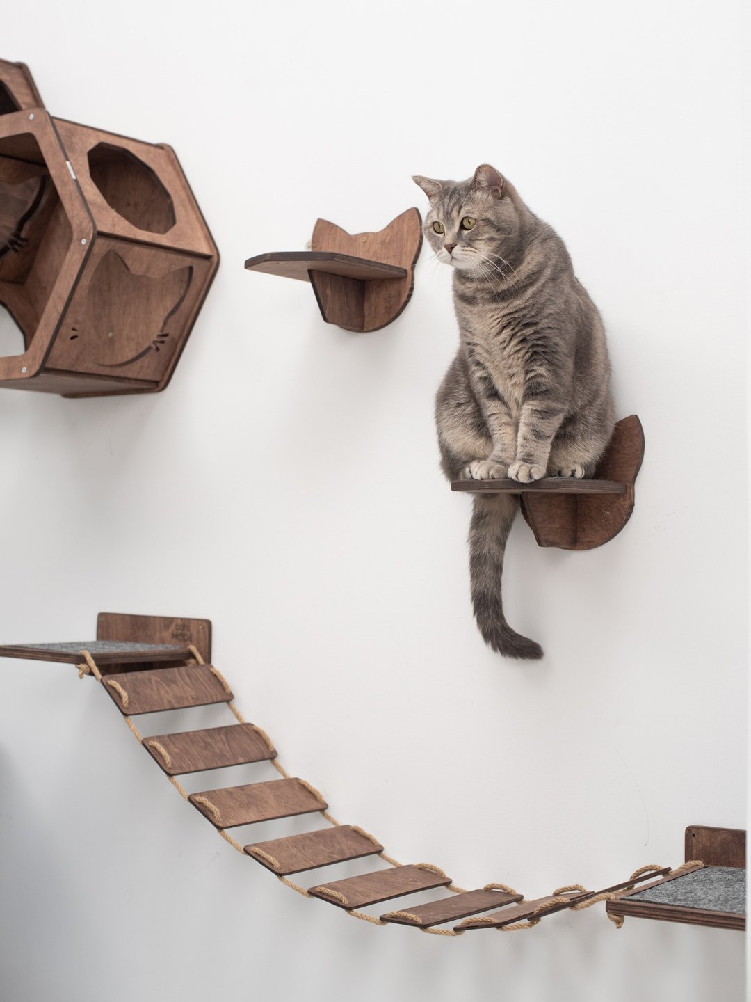 猫楼梯 猫床 新家居礼品 猫家具 - 抓板/跳台 - 木头 咖啡色