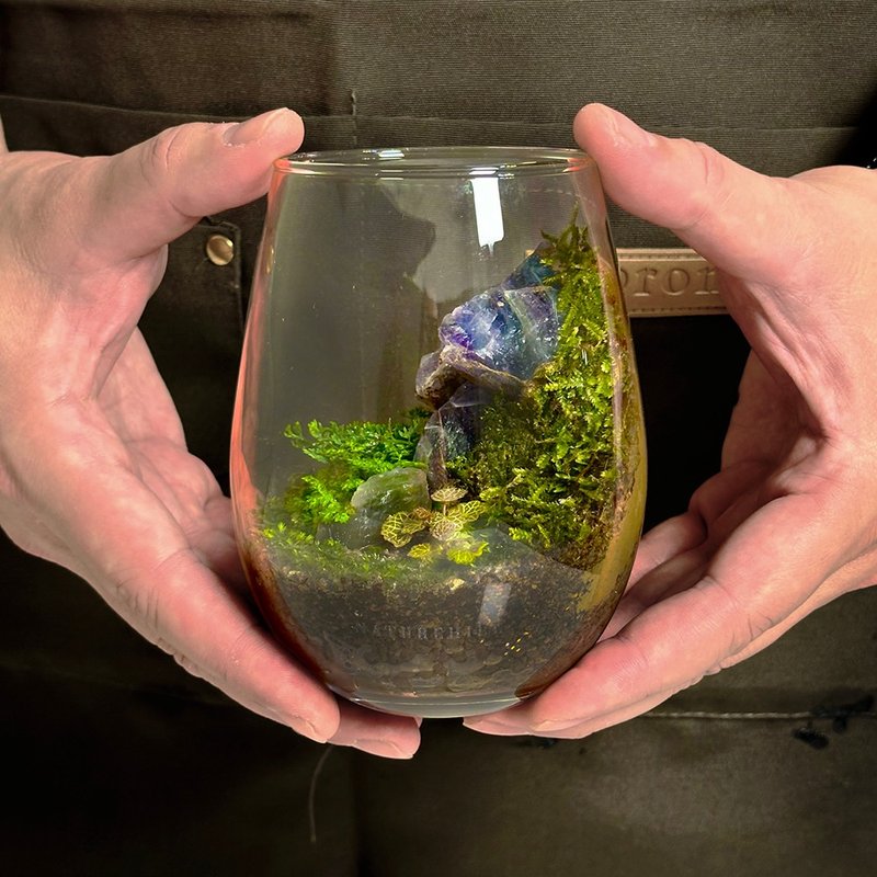 琉光碎境系列 - 矿石水晶风定制化苔藓生态盆 - 植栽/盆栽 - 植物．花 