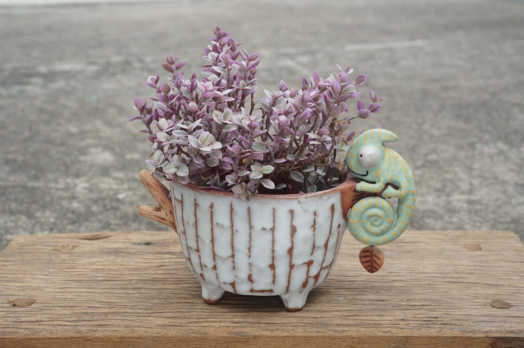 Branch plant pot for cactus , handmade ceramic , pottery - 花瓶/陶器 - 陶 白色