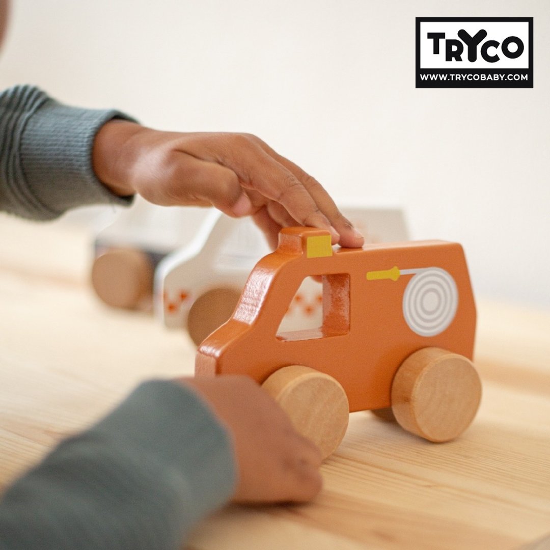官方直营快速出货 -【Tryco】木质小车 - 三款可选 - 玩具/玩偶 - 木头 多色