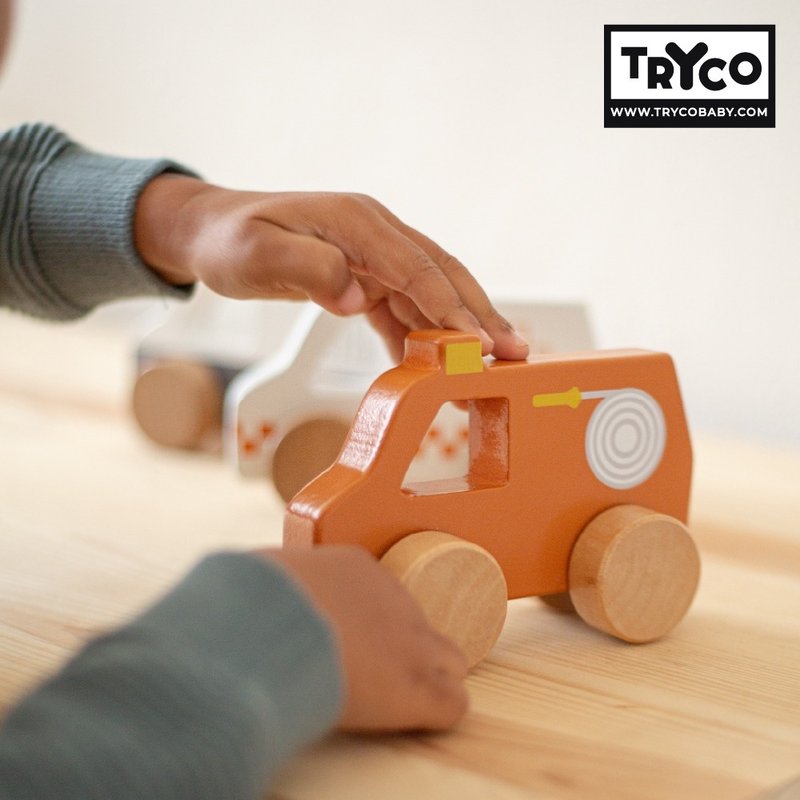 快速出货-【Tryco】木质小车-三款可选 - 玩具/玩偶 - 木头 多色
