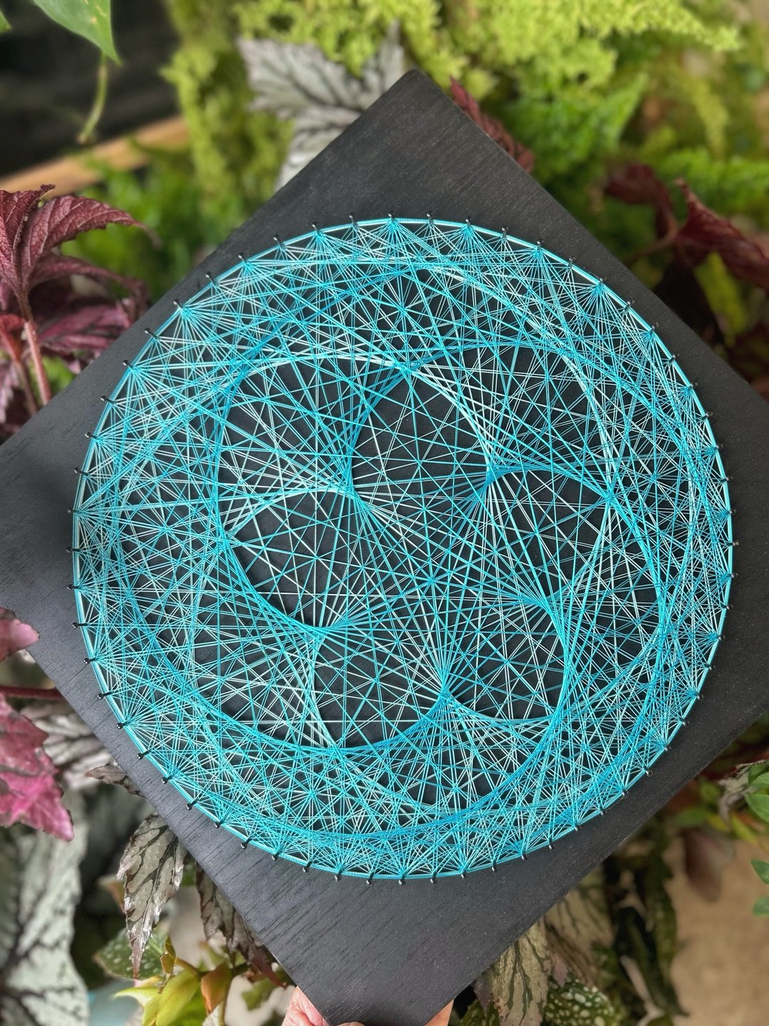 Stringart  艺术作品-初试啼声 - 摆饰 - 其他材质 多色