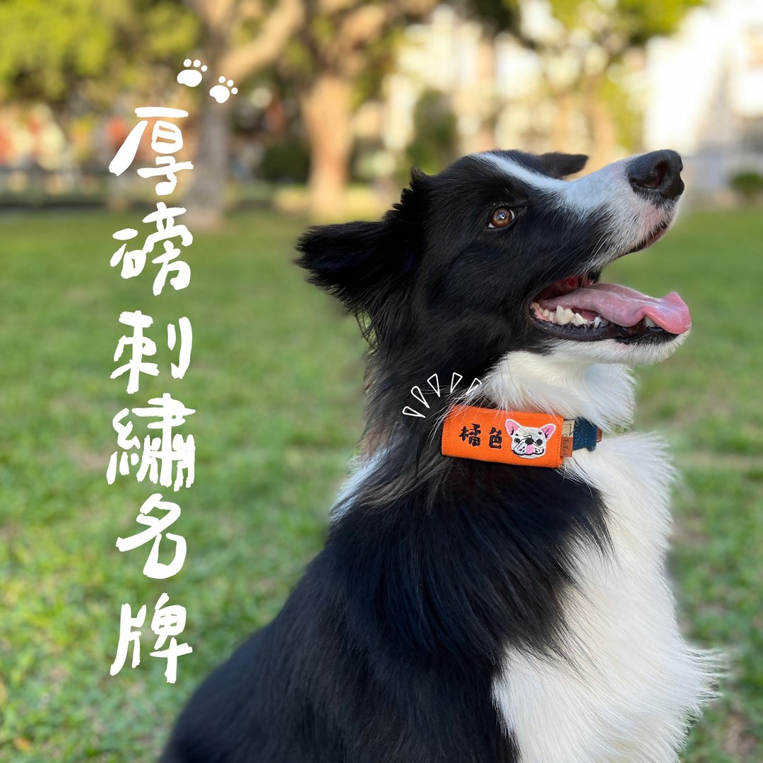 【兽兽木】台湾制 CP值最高 刺绣明牌 宠物名牌 定制化 - 项圈/牵绳 - 棉．麻 