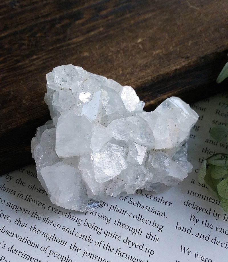 Apophyllite 印度产地 鱼眼石 沸石共生 天然矿石 原矿 - 摆饰 - 其他材质 