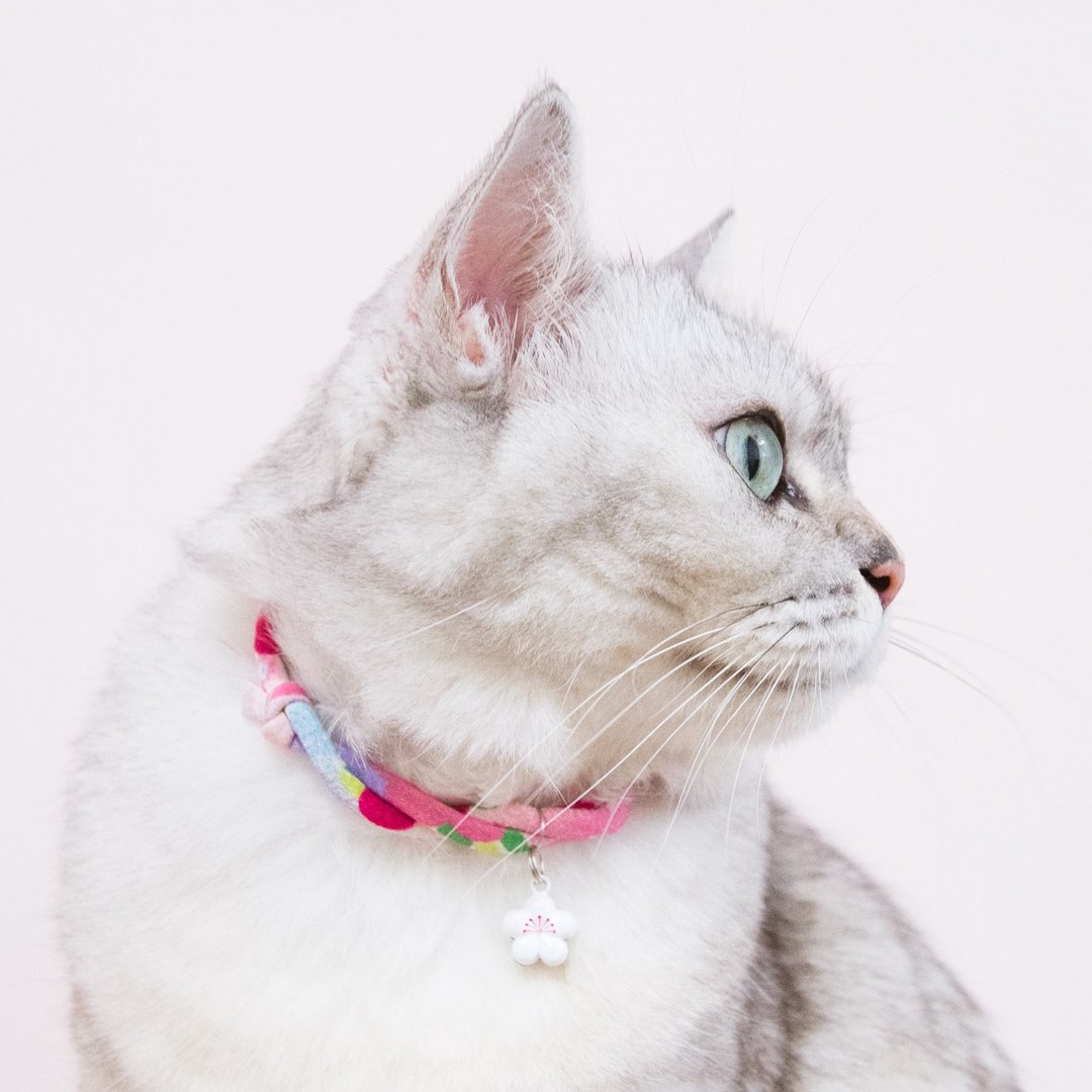 日本犬猫和布项圈(可调式)--桃紫椿+白梅花 - 项圈/牵绳 - 丝．绢 紫色