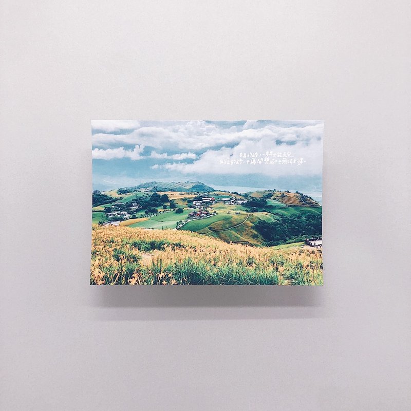 金针花海∣明信片 - 卡片/明信片 - 纸 多色