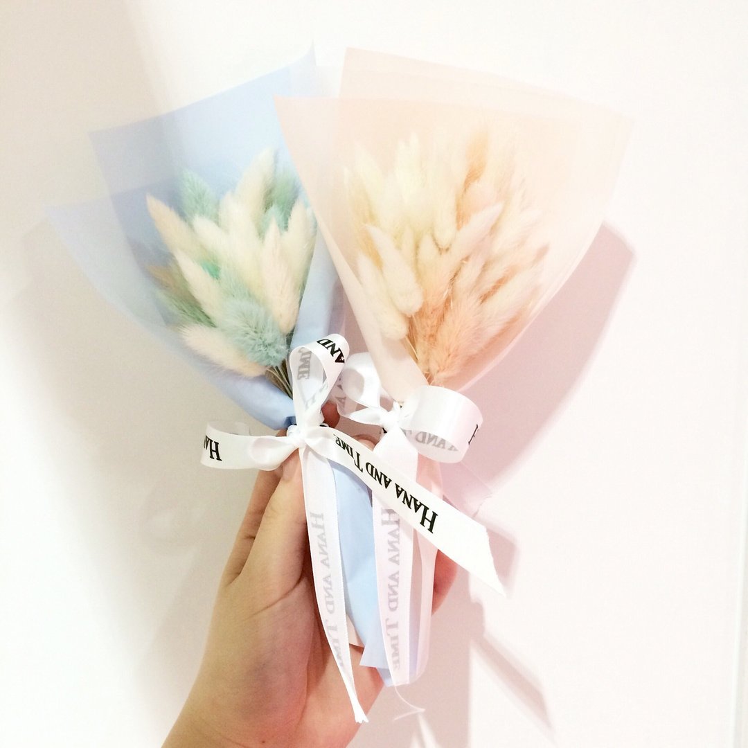 【花.时间】干燥花/干燥花小花束/兔子尾巴/兔尾草/粉色/粉蓝色 - 植栽/盆栽 - 植物．花 粉红色