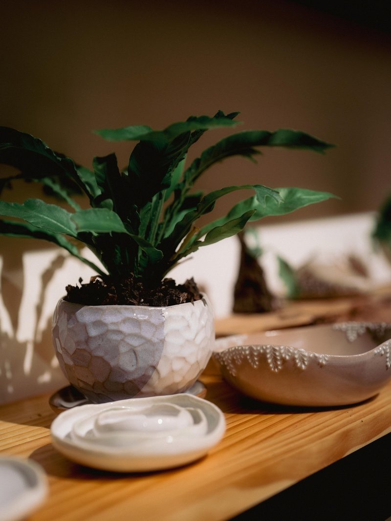 【手作陶盘 盆栽】生活艺术小容器 × 植栽盘器 半日闲-台北新北 - 陶艺 - 陶 