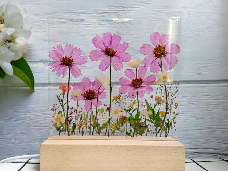 手作押花疗愈LED小夜灯 - 波斯菊小夜灯 - 灯具/灯饰 - 树脂 紫色