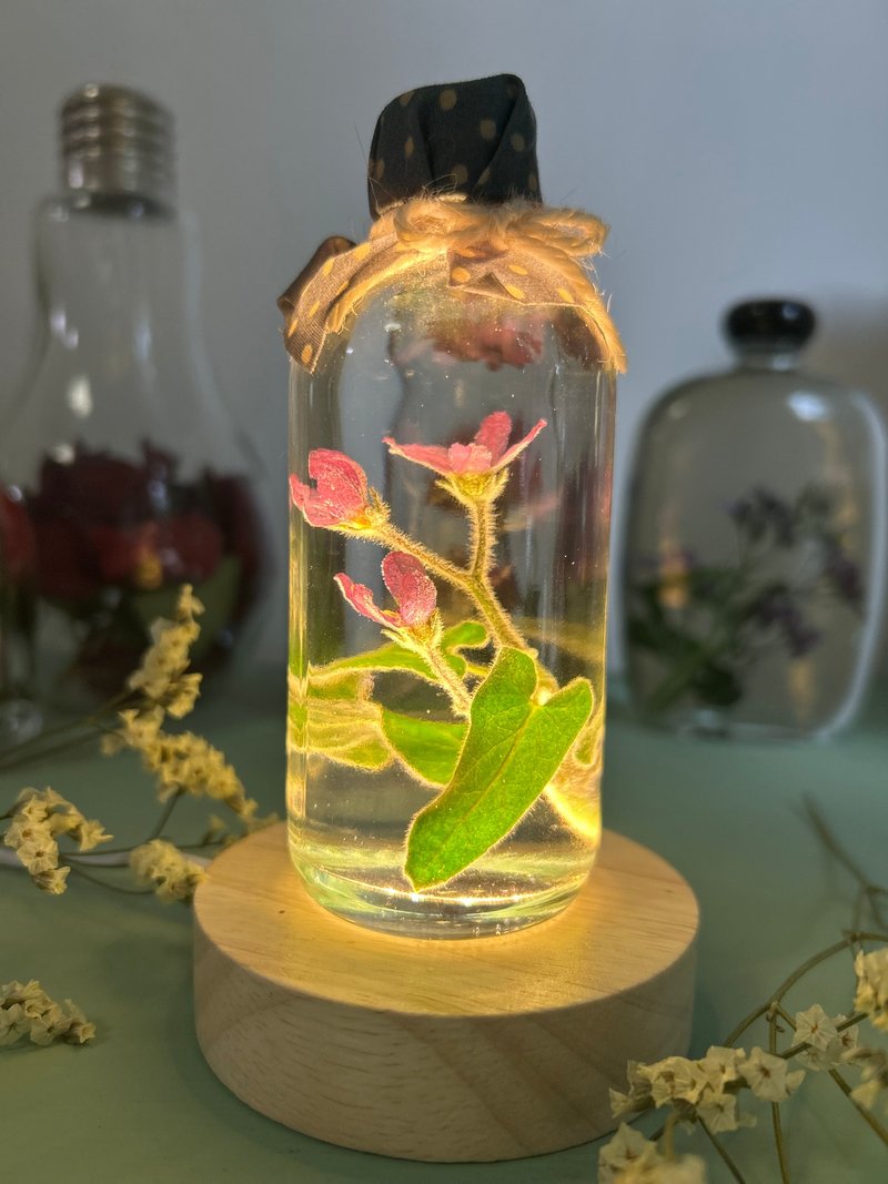 以火为基调的油浸 Tweedia 花 - 其他 - 植物．花 紫色