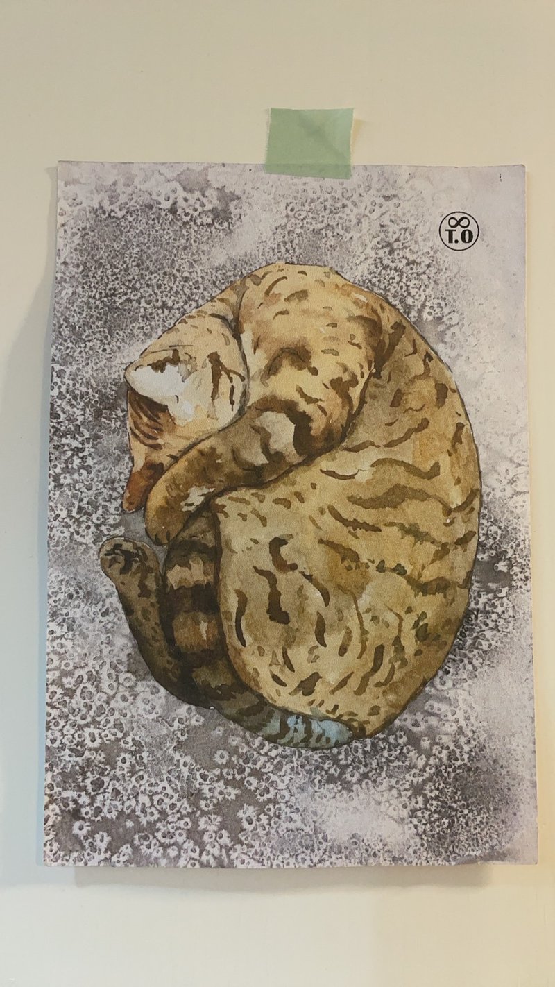 T.O动物插画明信片/卡片/无框画 - 卡片/明信片 - 纸 