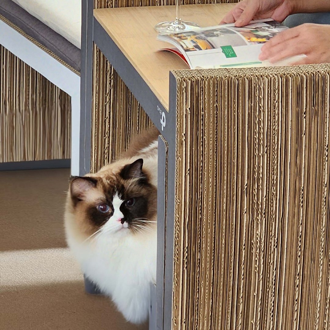 【套组】H型猫抓板2个+桌板1个 - 抓板/跳台 - 纸 