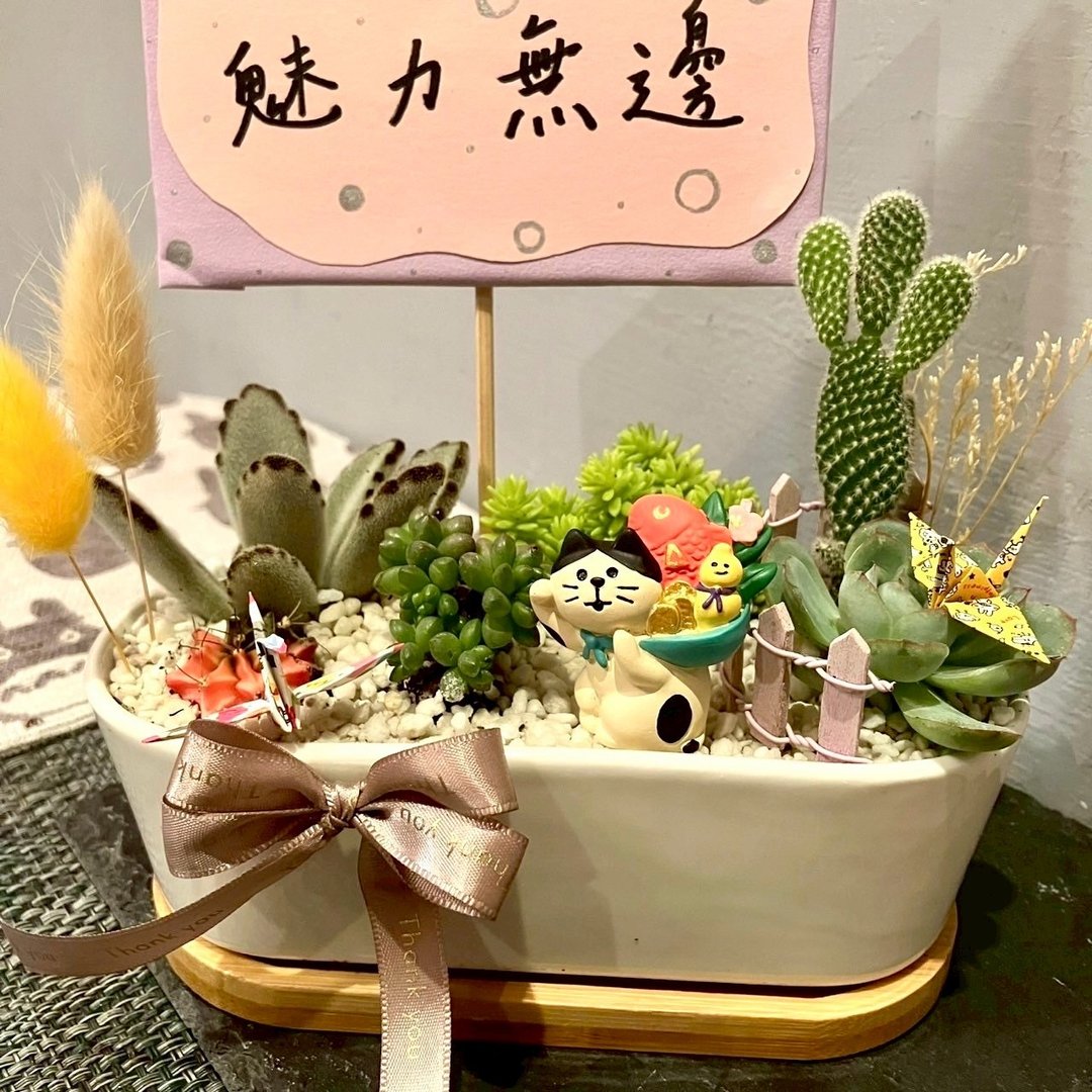 招财猫 台中多肉组盆 多肉植物 年年有余 祝福 开幕庆祝 日式盆栽 - 植栽/盆栽 - 植物．花 绿色