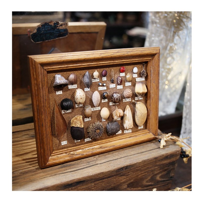 小弎品独家手作。种子艺术设计搭配美国老件实木框.橡木。小木头框 - 墙贴/壁贴 - 其他材质 