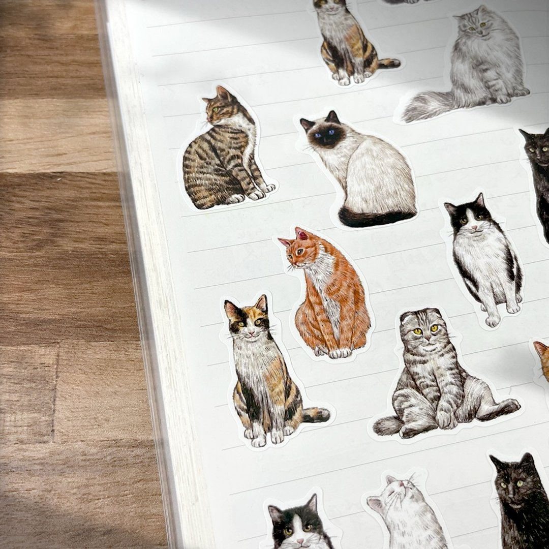 猫咪插画图鉴贴纸_防水贴纸 - 贴纸 - 纸 多色
