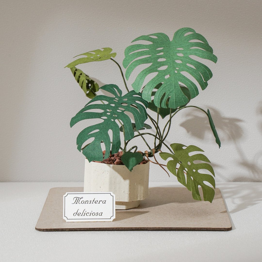 【龟背芋】 纸模型 纸植栽 材料包 纸风景 L| 9028409 - 木工/竹艺/纸艺 - 纸 