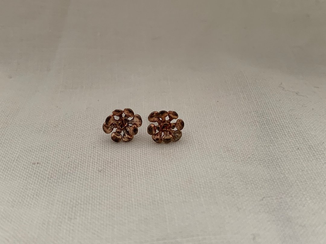 Succulent plant earrings (brass) - 耳环/耳夹 - 铜/黄铜 金色