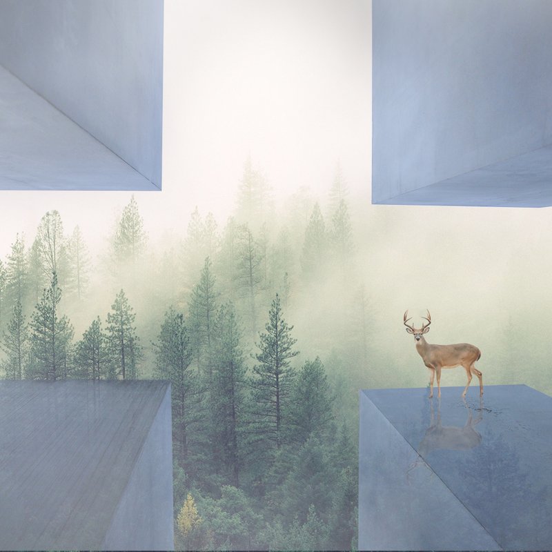 Fix〔无框画〕 - 海报/装饰画/版画 - 纸 