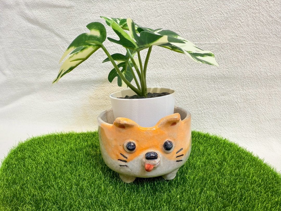 狗狗盆栽 - 植栽/盆栽 - 陶 橘色